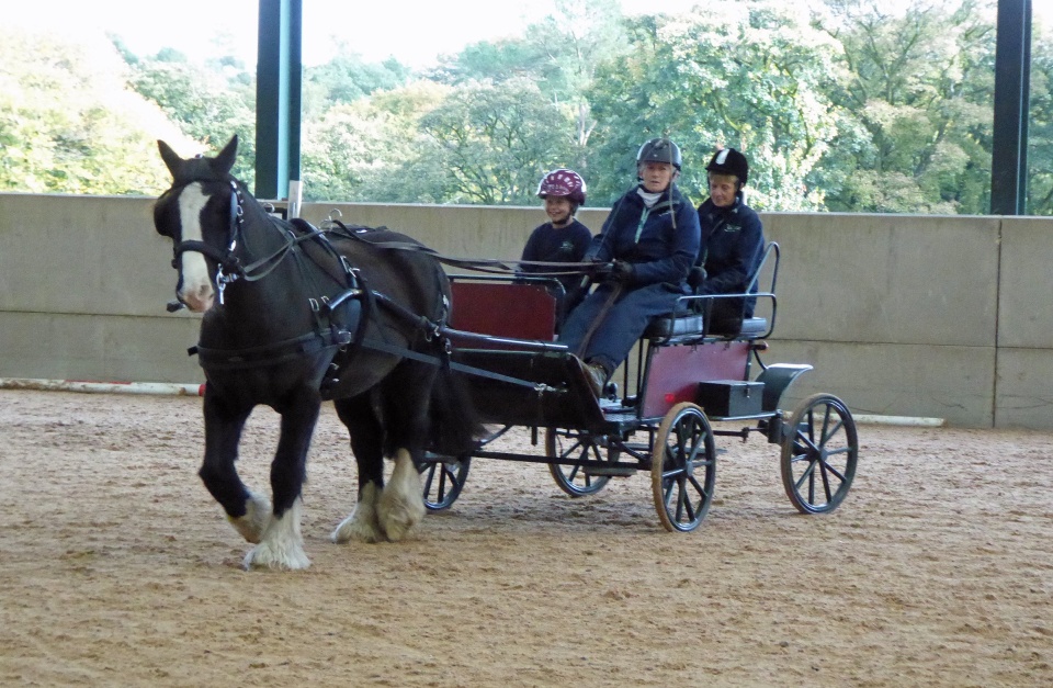 Autumn Showcase 2026 photo 14