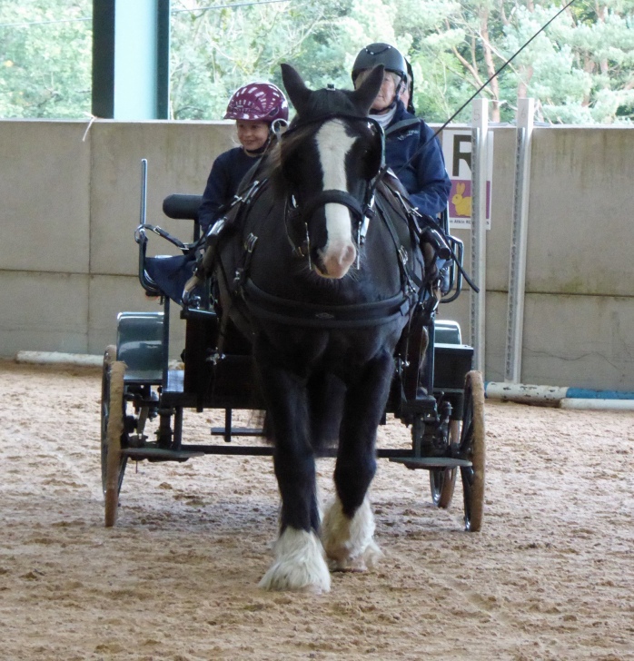 Autumn Showcase 2026 photo 5