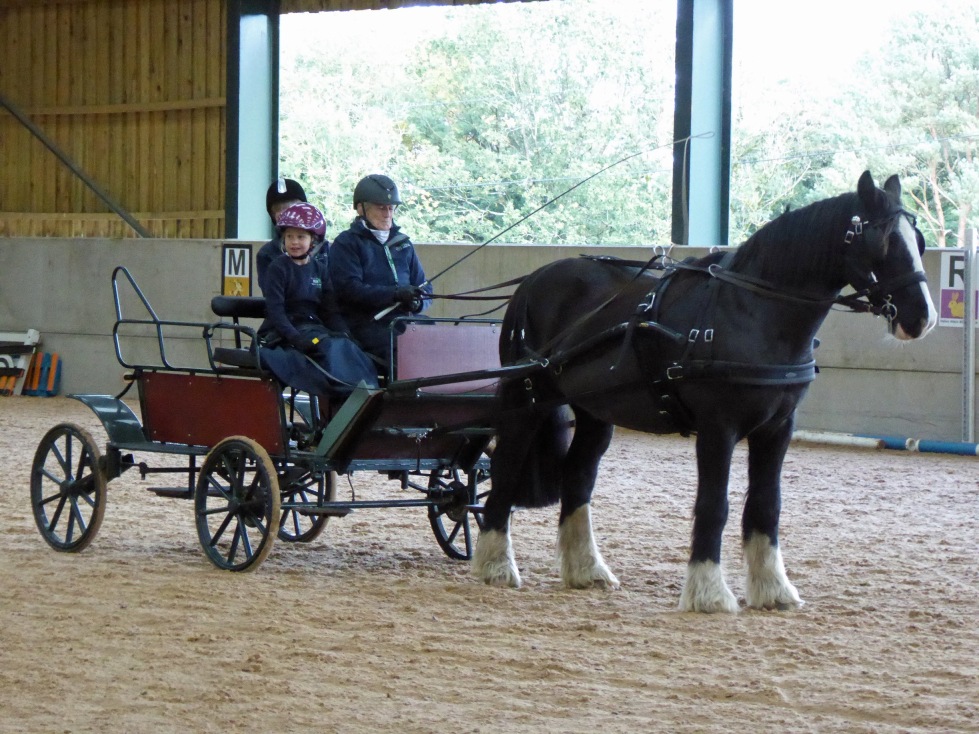 Autumn Showcase 2026 photo 6